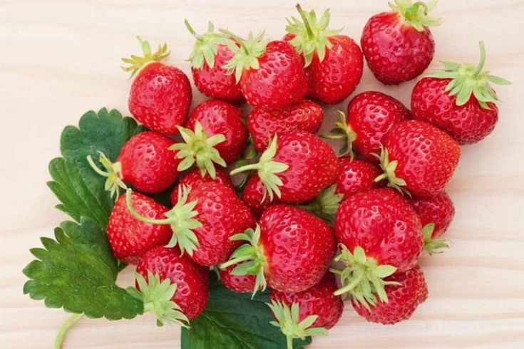 Alpine Strawberry (Fragaria vesca) Seeds