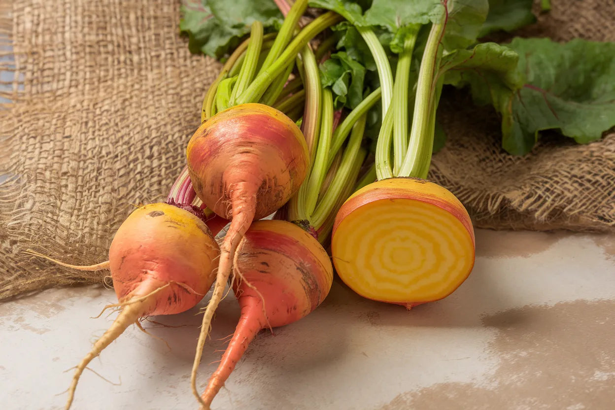Beet Boldor Vegetable Seeds for Planting