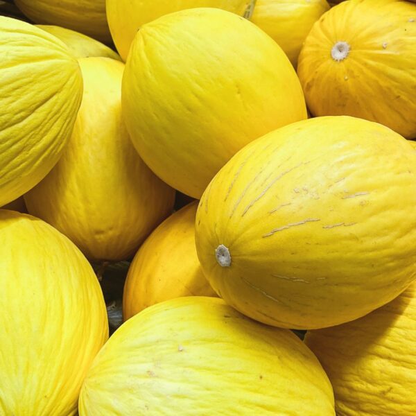 Yellow Canary Melon Fruit Seeds - Sweet and Unique Melons for Your Garden