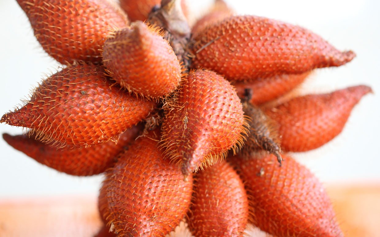 Salak Snakeskin Fruit Seeds for Unique Tropical Gardens