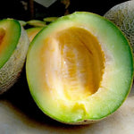 Ice cream cantaloupe fruit seeds