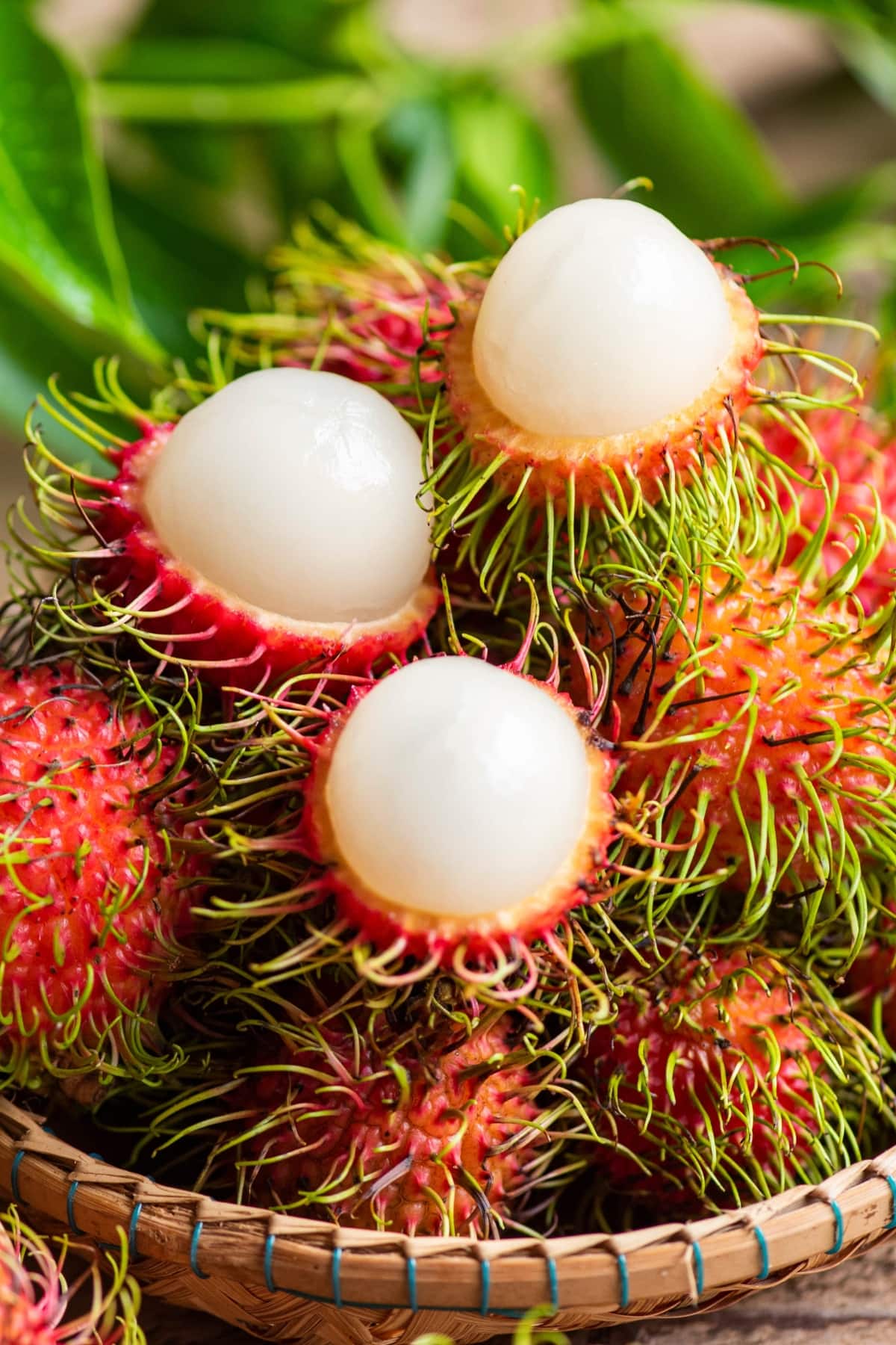 Rambutan – A Sweet Tropical Treat