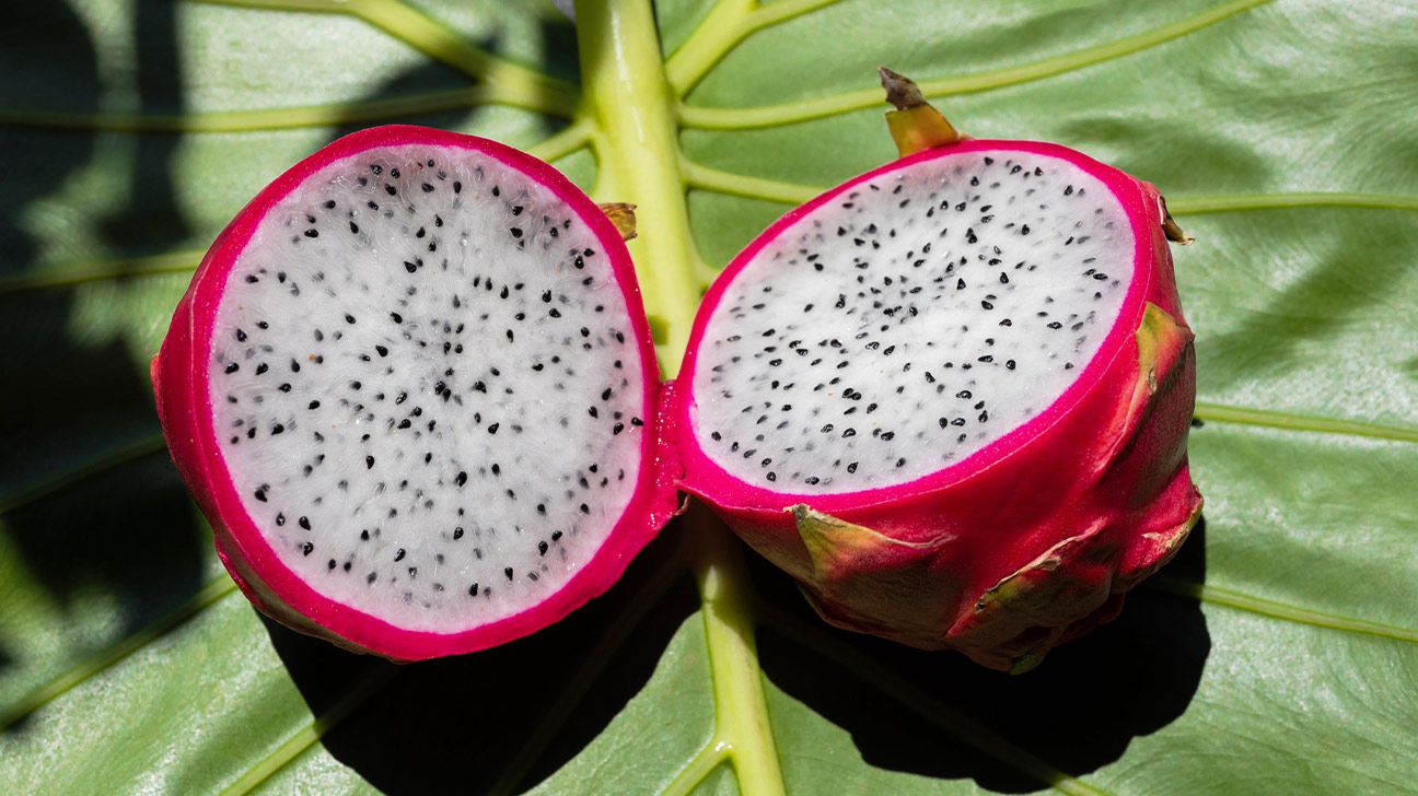 Dragon Fruit (Hylocereus spp.)