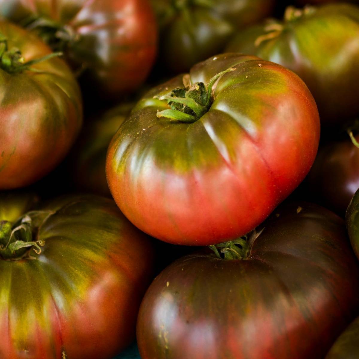 Cherokee Purple Tomato Seeds