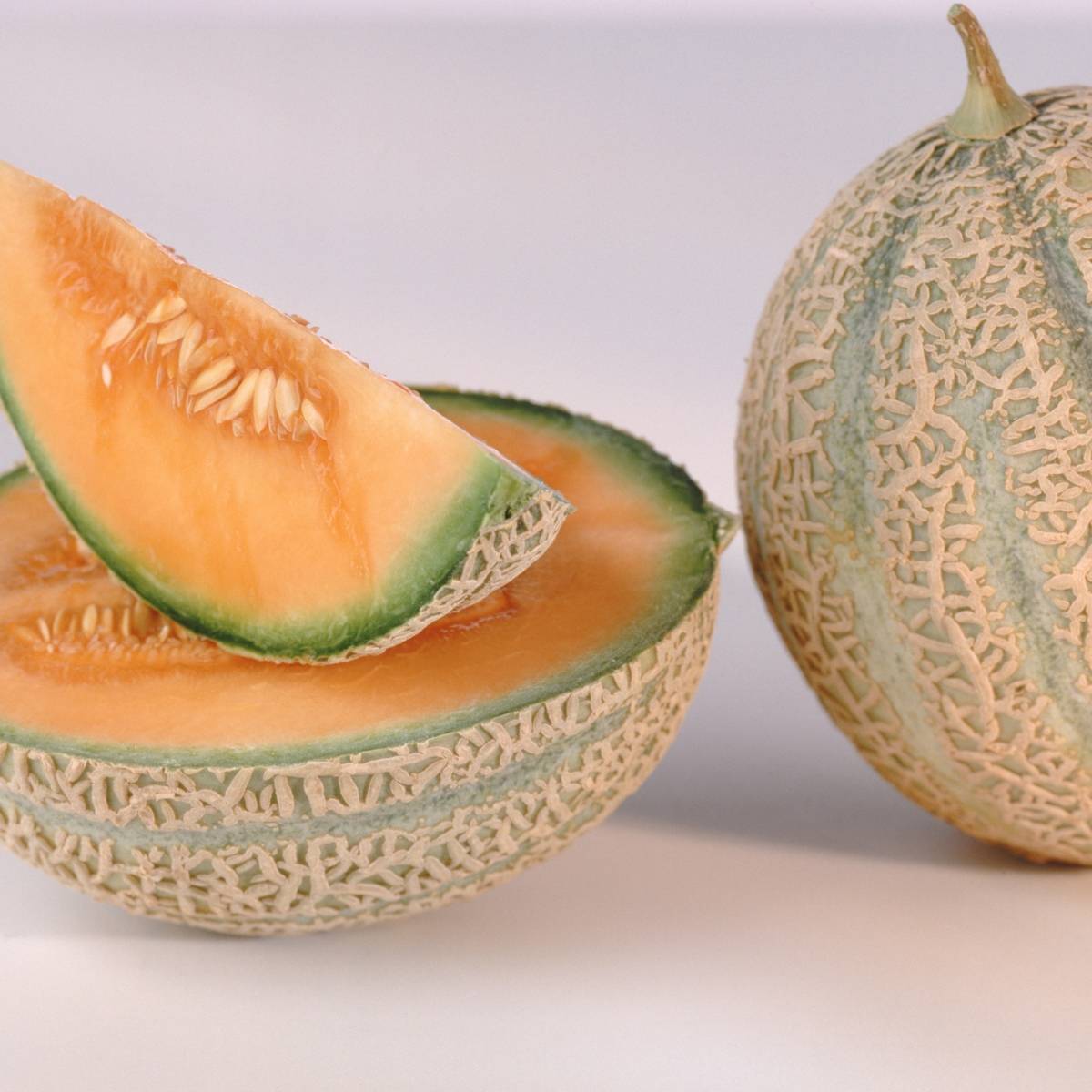 Planters Jumbo Rockmelon Seeds