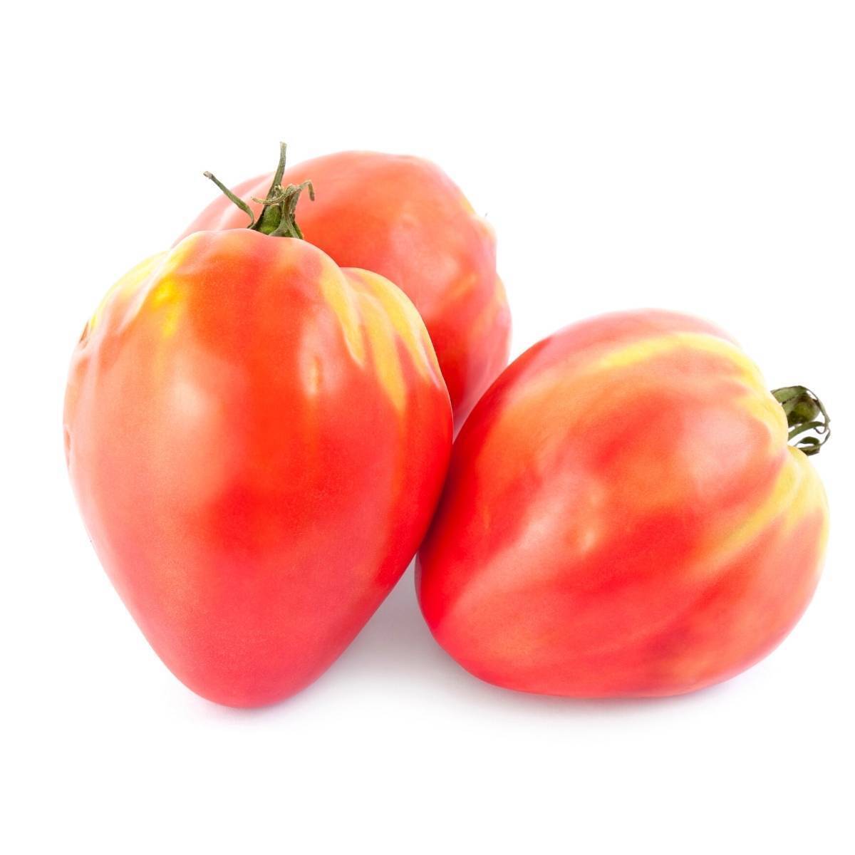 Oxheart Red Tomato Seeds