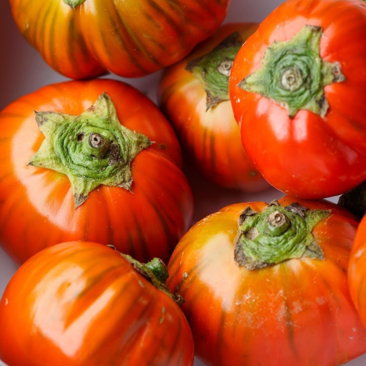 Red Square Eggplant Seeds