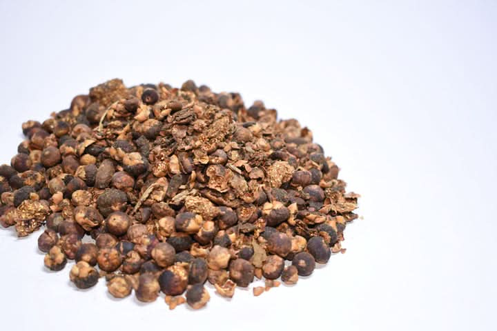 Banyan Tree Seeds for Planting – Heirloom, Non-GMO Sacred Fig Tree for Bonsai or Garden