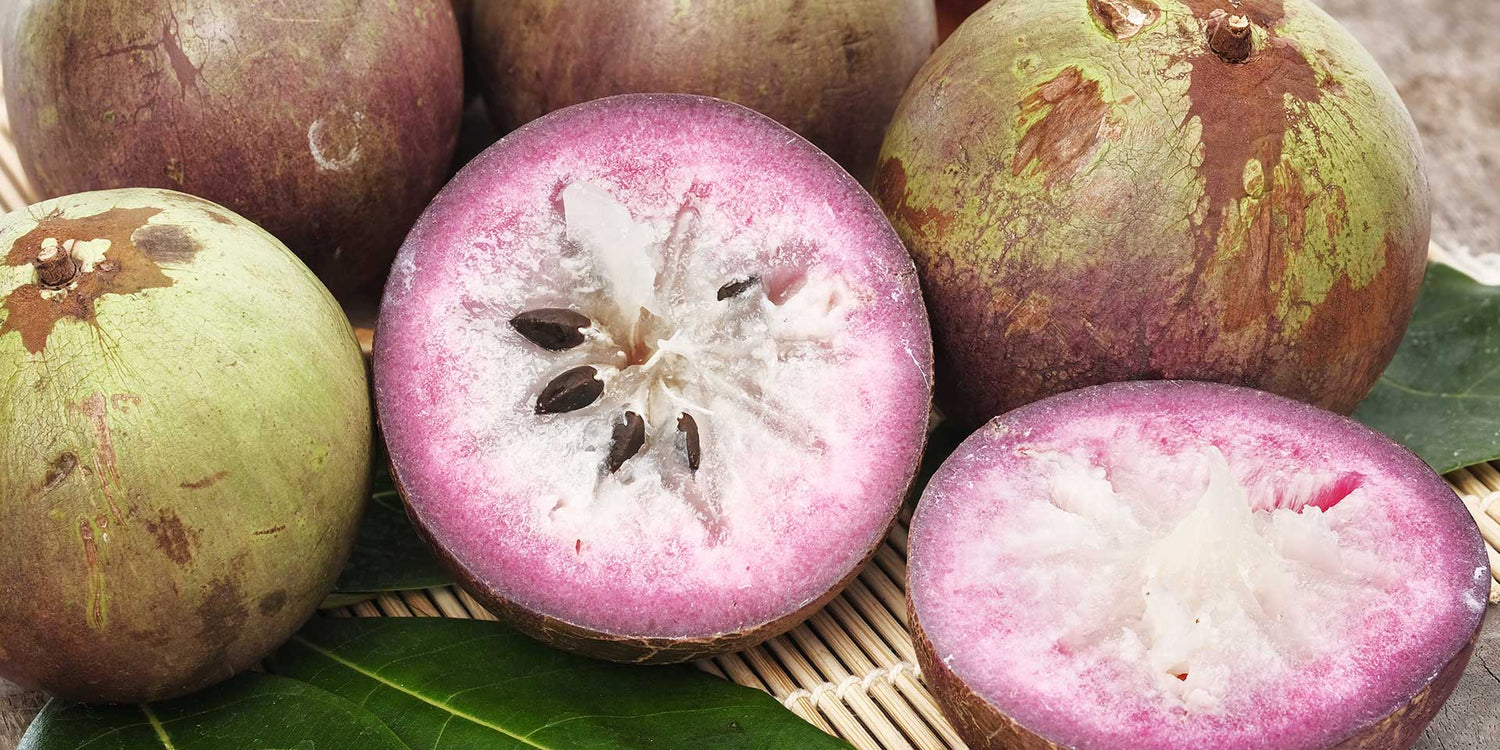 Star Apple – A Sweet, Exotic Tropical Delight