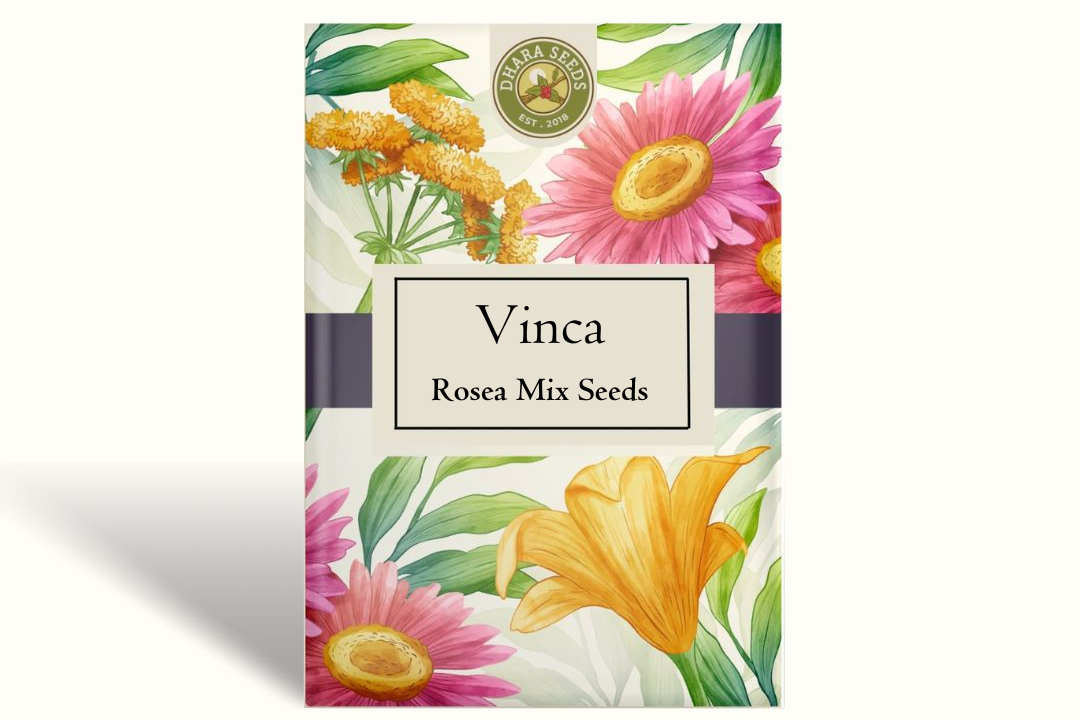 Vinca Tall Rosea Mix Seeds