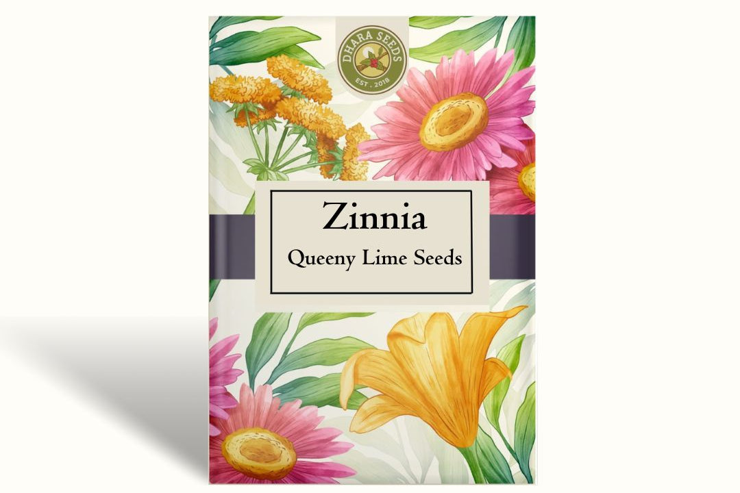 Zinnia Queeny Lime Seeds