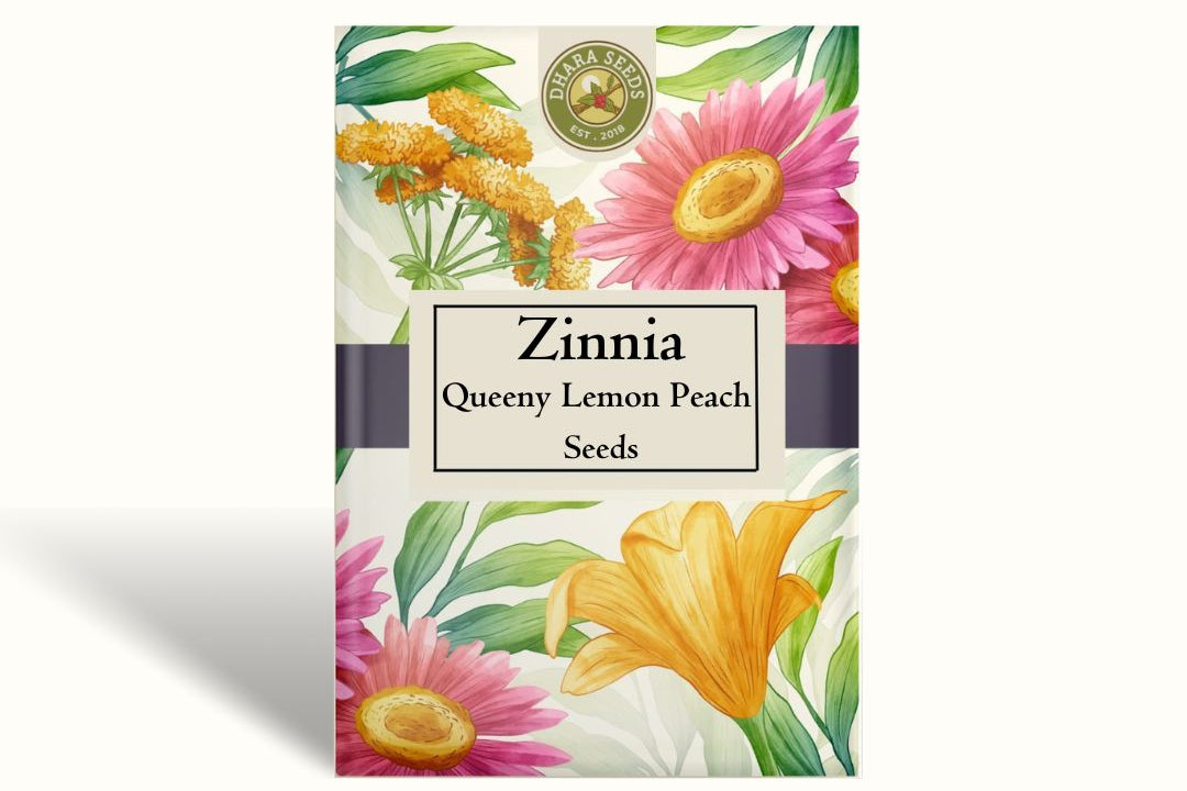 Zinnia Queeny Lemon Peach Seeds