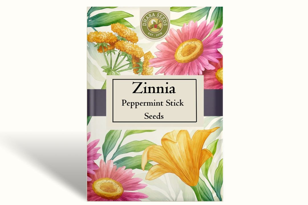 Zinnia Peppermint Stick Seeds