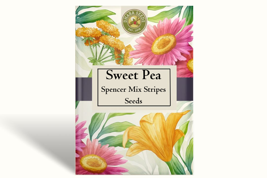 Sweet Pea Spencer Mix Stripes Seeds