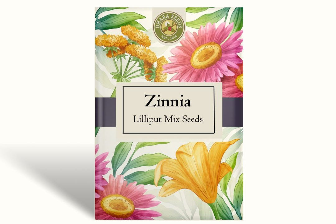 Zinnia Lilliput Mix Seeds