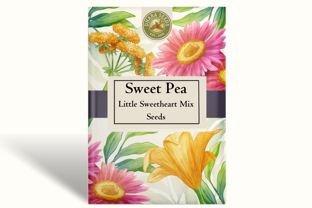 Sweet Pea Little Sweetheart Mix Seeds