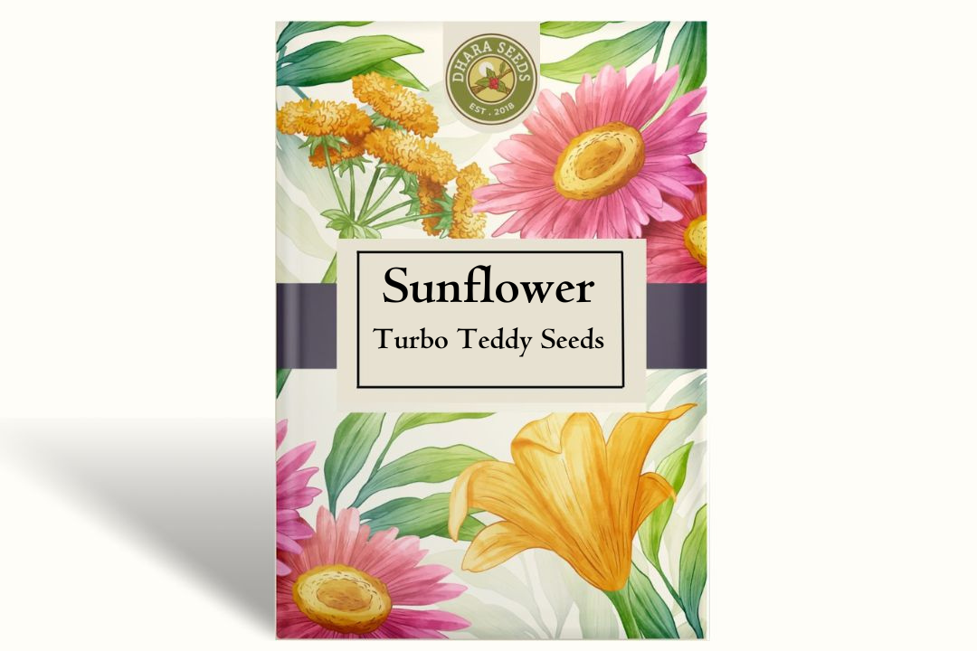 Sunflower Turbo Teddy F1 Seeds