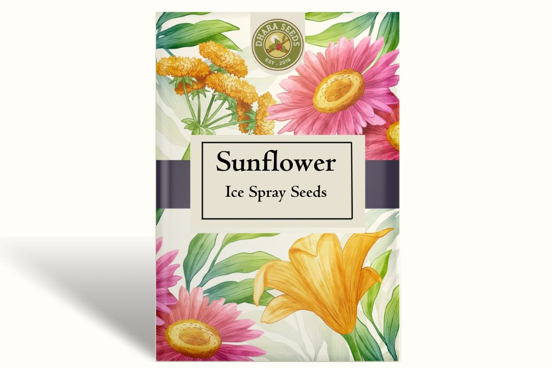 Sunflower Ice Spray F1 Seeds