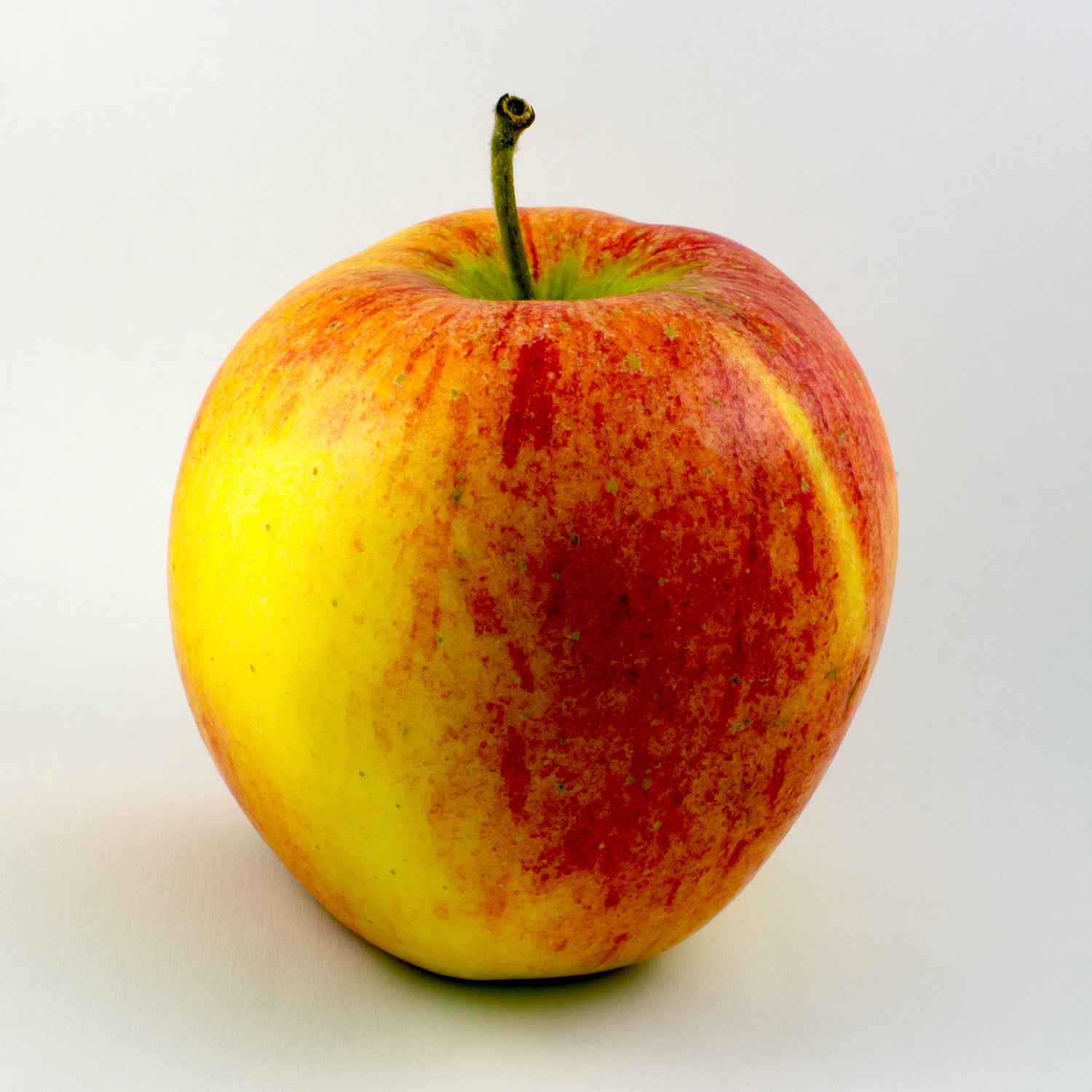 Pinova Apple (Malus domestica 'Pinova') – Crisp & Sweet Apple