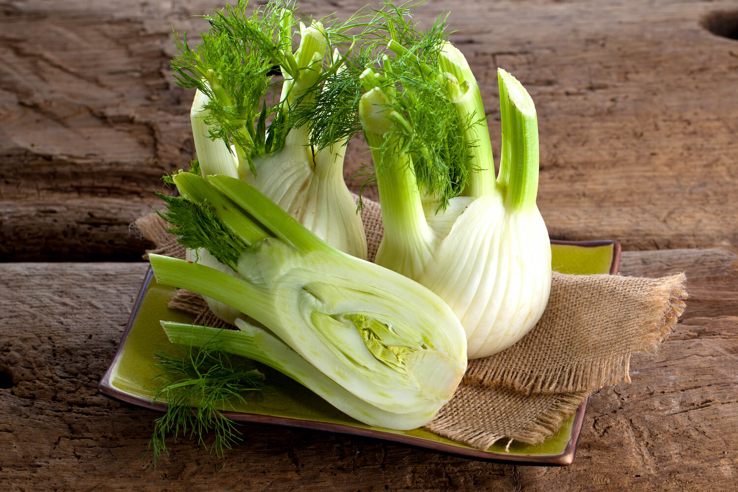 Aromatic_Fennel_seed_head_harvest_spice_culinary