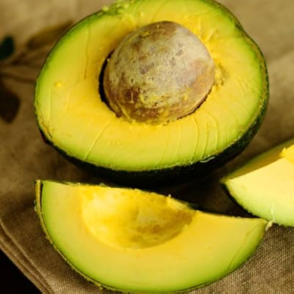 Young Avocado seedling growing in a pot as an unique houseplant