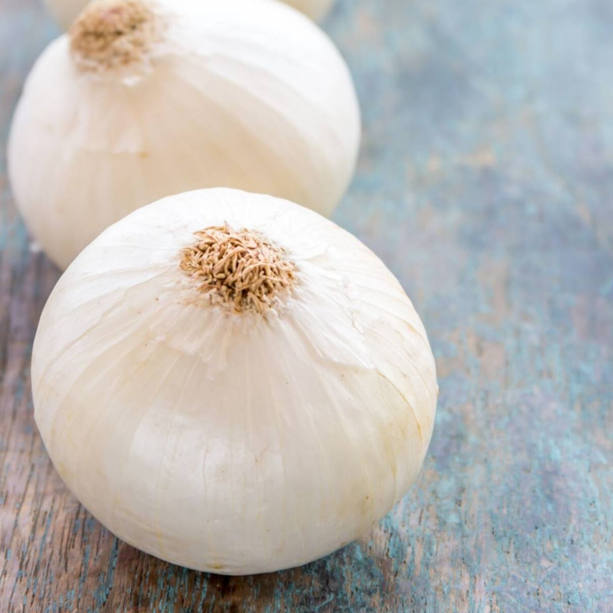 Gladalan White Onion Seeds