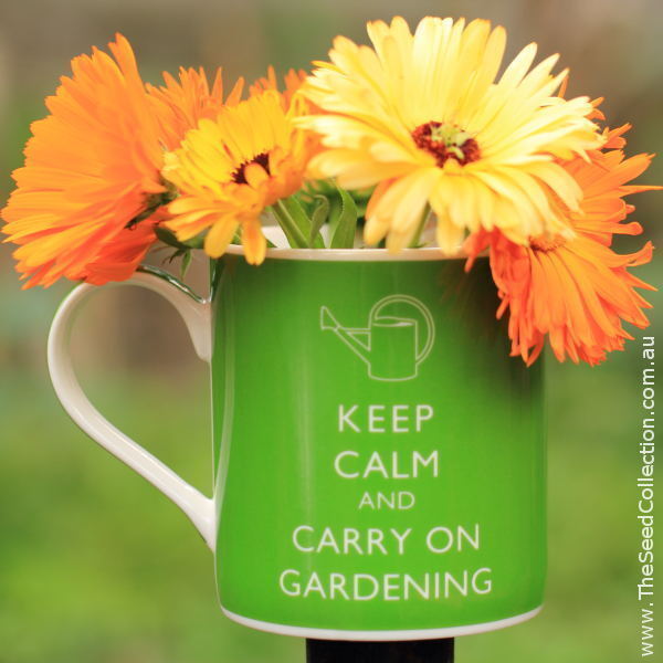 Calendula Pacific Beauty Mixed Seeds