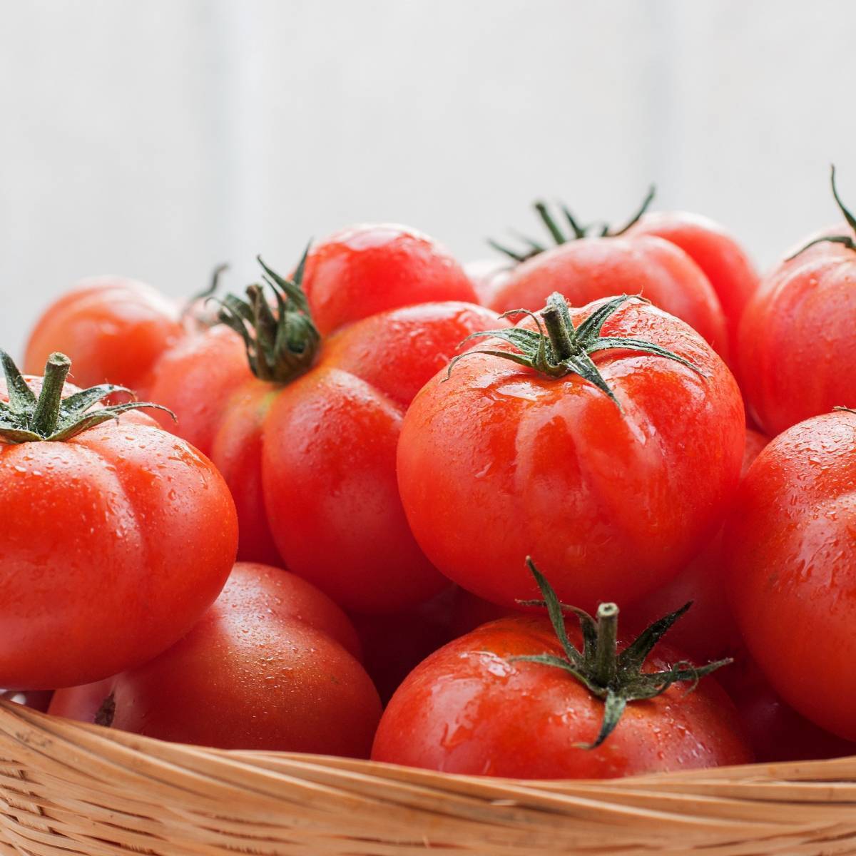 Brandywine Red Tomato Seeds