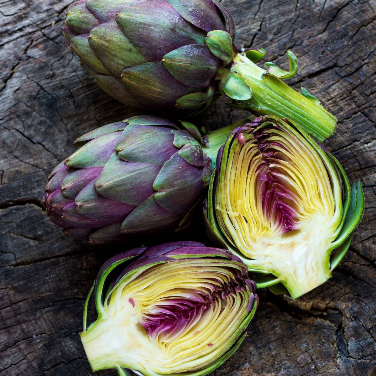 Purple Headed Artichoke Seeds