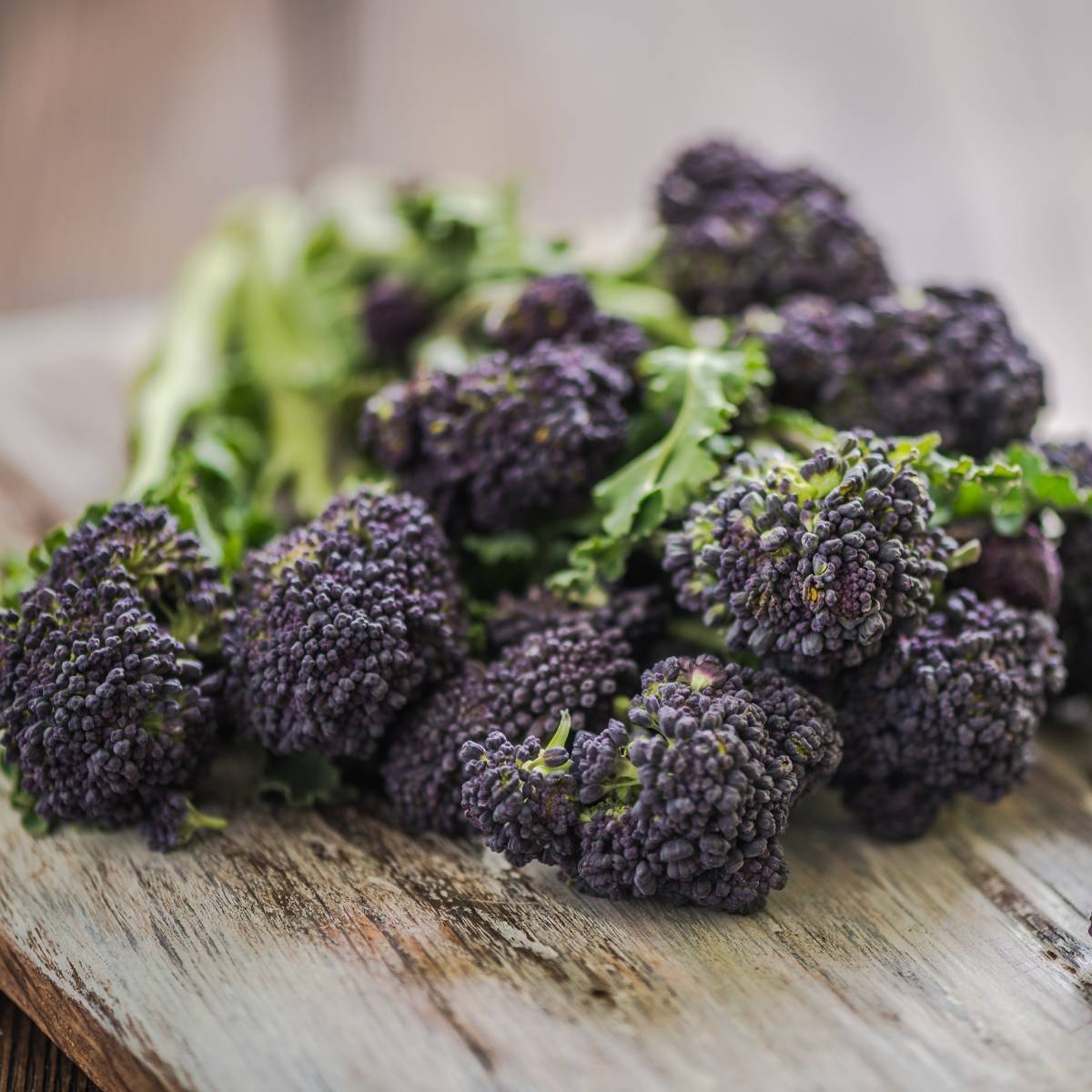 Purple Sprouting Broccoli Seeds