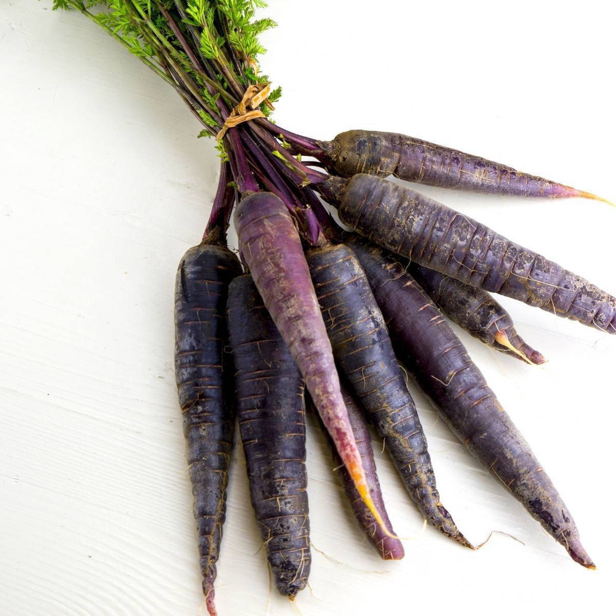 Cosmic Purple Carrot Seeds