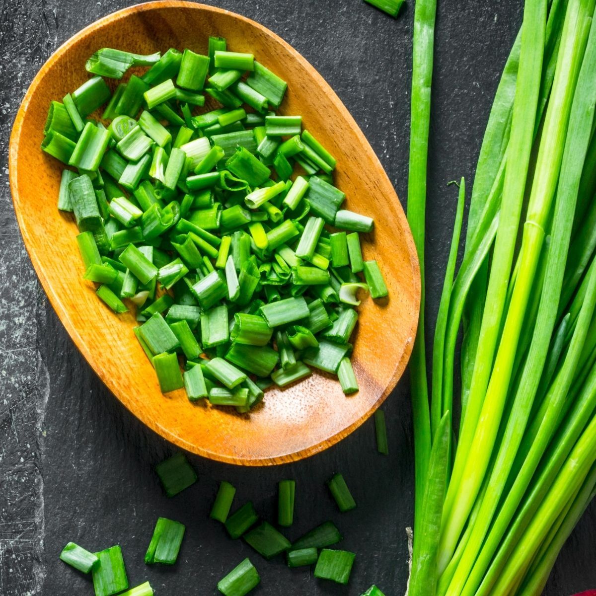 Fuyuyo Bunching Onion Seeds