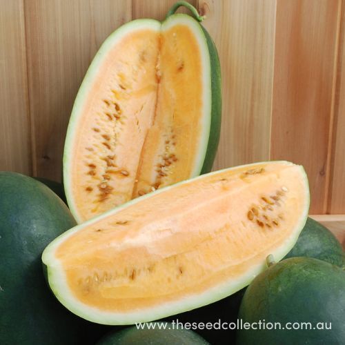 Sweet Siberian Watermelon Seeds