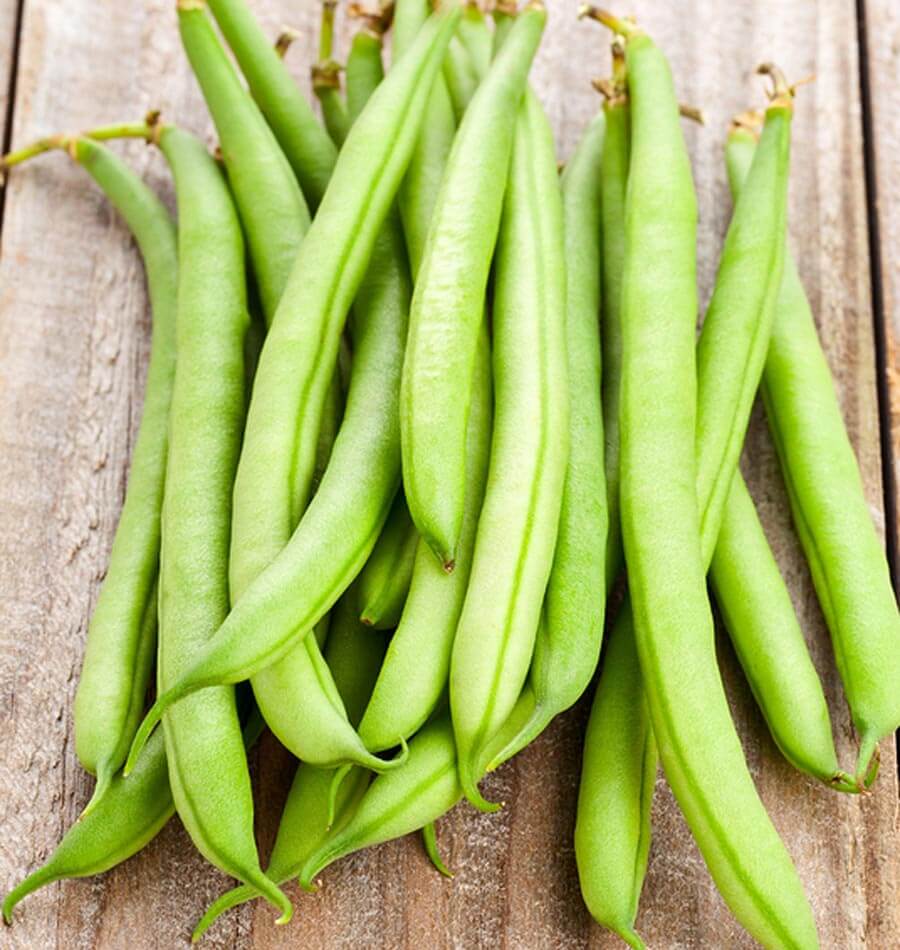 Bean Seeds (Pole) - Kentucky Wonder Brown