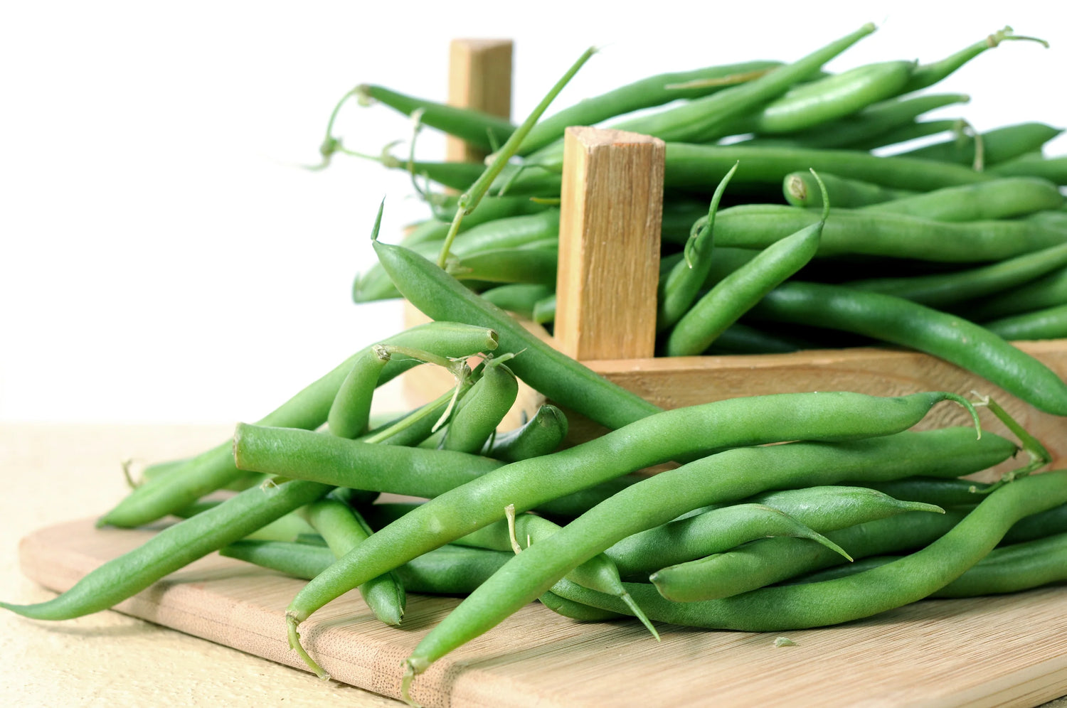 Bean Seeds (Bush) - Harvester