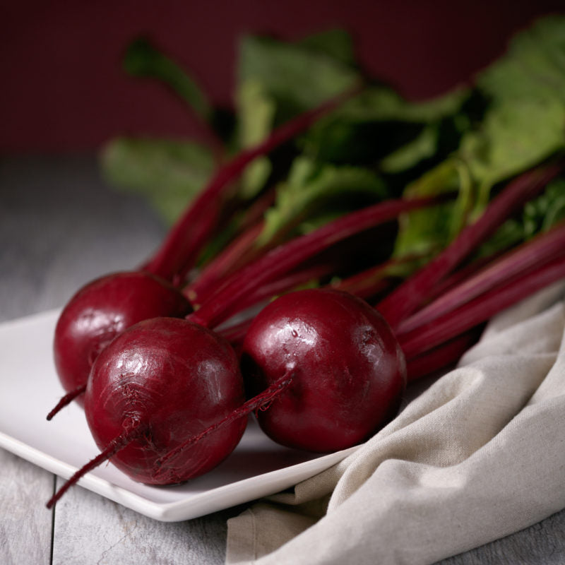 Beetroot Falcon Beta vulgaris vegetable seeds for planting in backyard gardening or kitchen garden