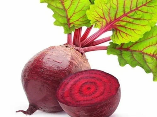 Beetroot Flat Globe Shaped Home Garden Beetroot For Sowing heirloom non-gmo organic garden seeds
