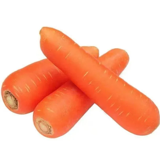 Best Seller Fast Growing Carrot – Heirloom, Non-GMO, High Germination Organic Garden Seeds