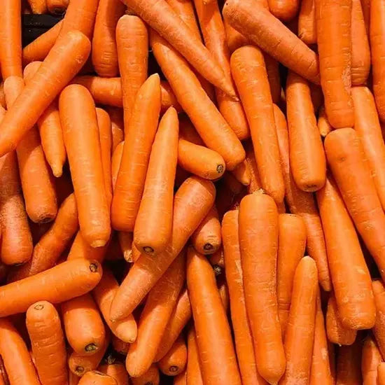 Best Seller High Yield Carrot For Sale – Heirloom, Non-GMO, High Germination Organic Garden Seeds