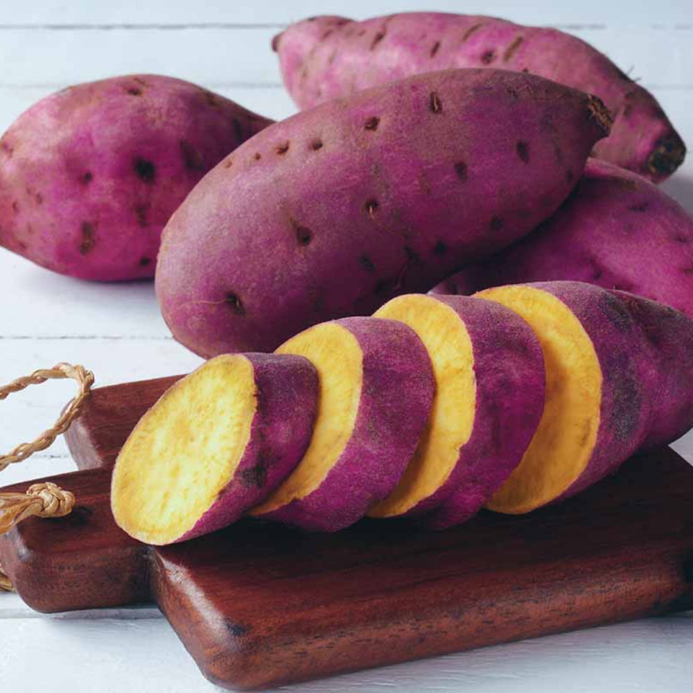 Sweet Potato Vegetable Seeds – Rich Purple Flesh Variety