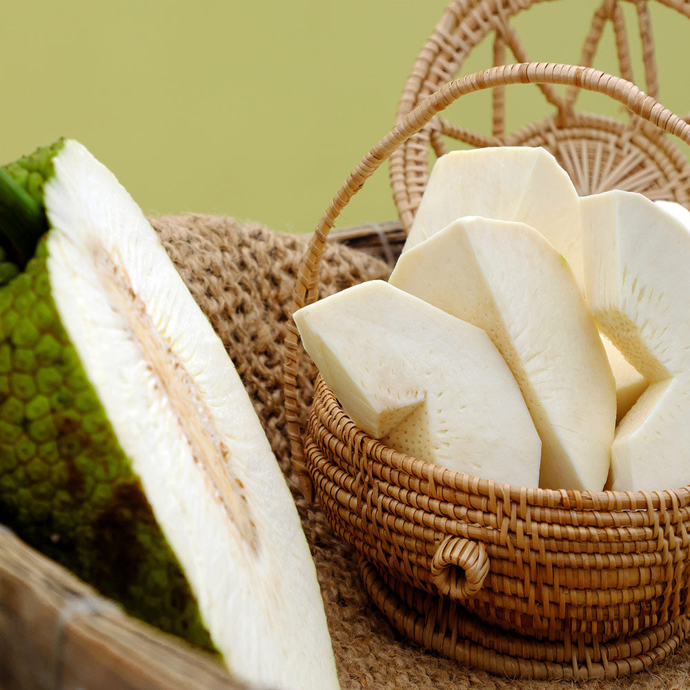 Breadfruit Seeds (Artocarpus altilis)