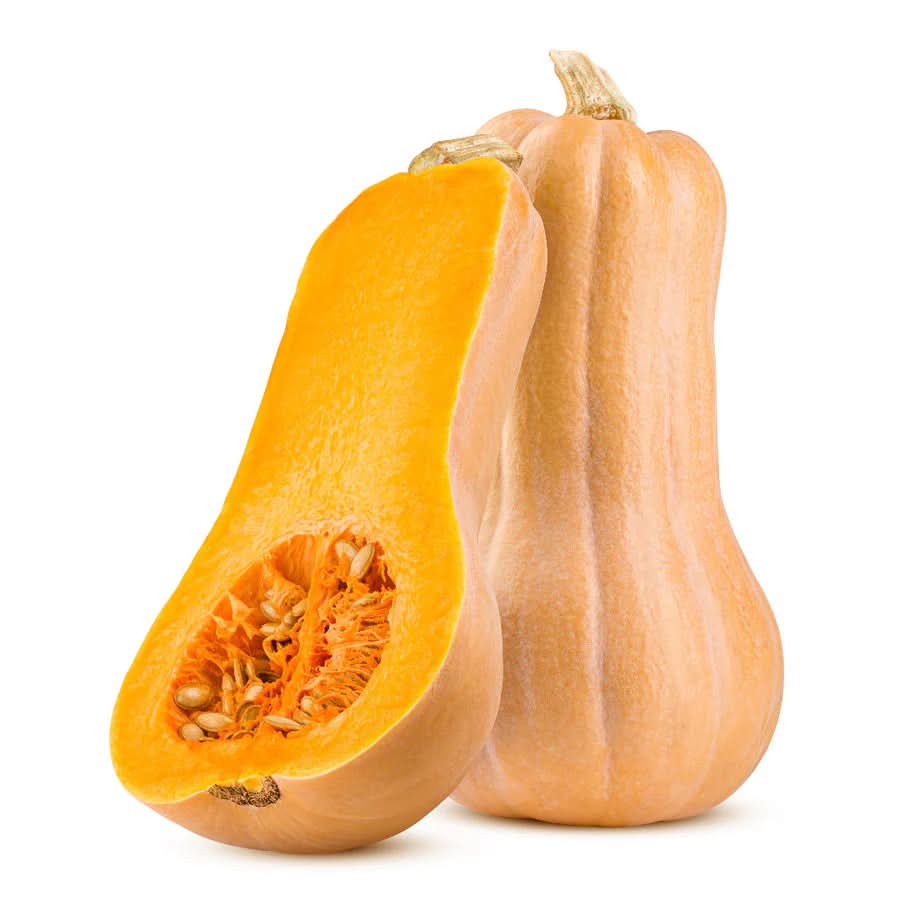 Butternut Squash Vegetable Seeds for Planting - heirloom & Non-GMO Garden Seeds