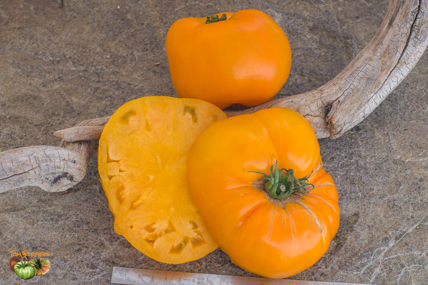 Tomato Bychye Serdtse Oranzhevoye Solanum lycopersicum vegetable seeds for planting in backyard gardening