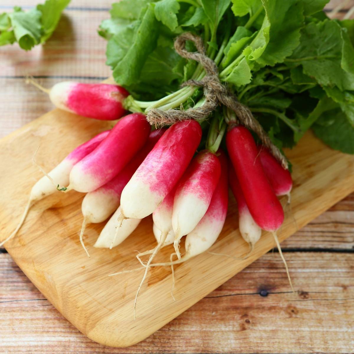 French Breakfast Radish Seeds