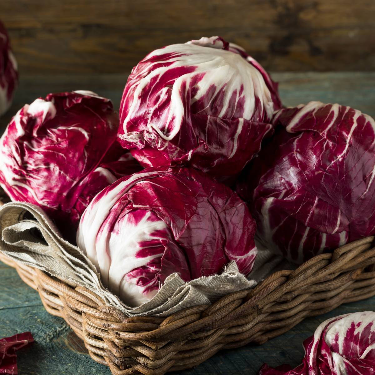 Red Ball Chicory Seeds