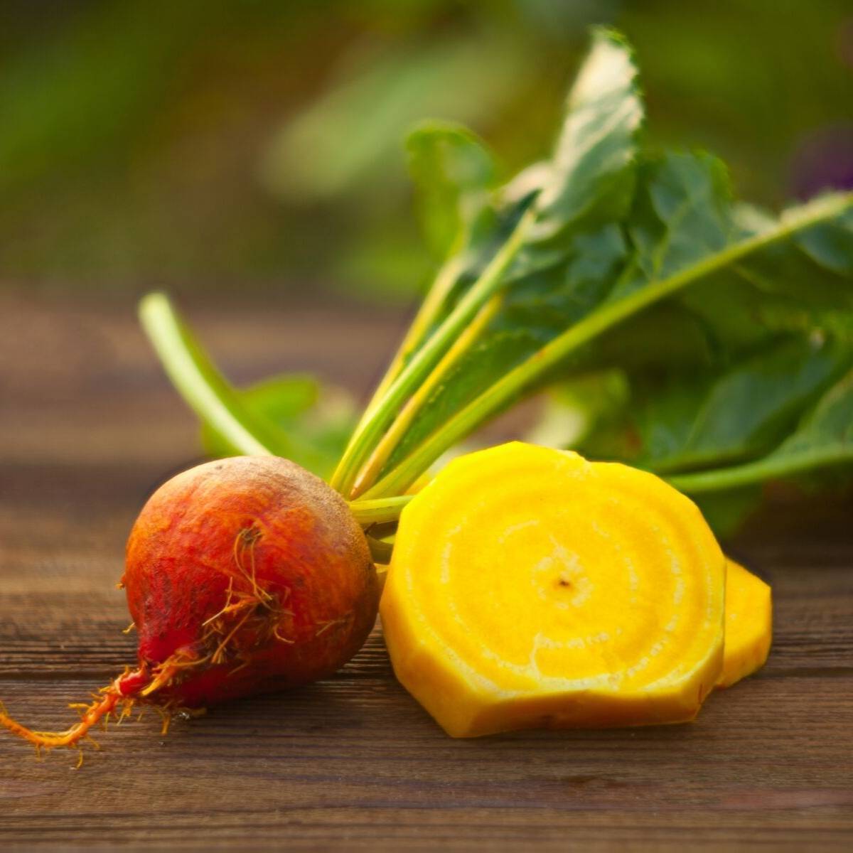 Golden Detroit Beetroot Seeds