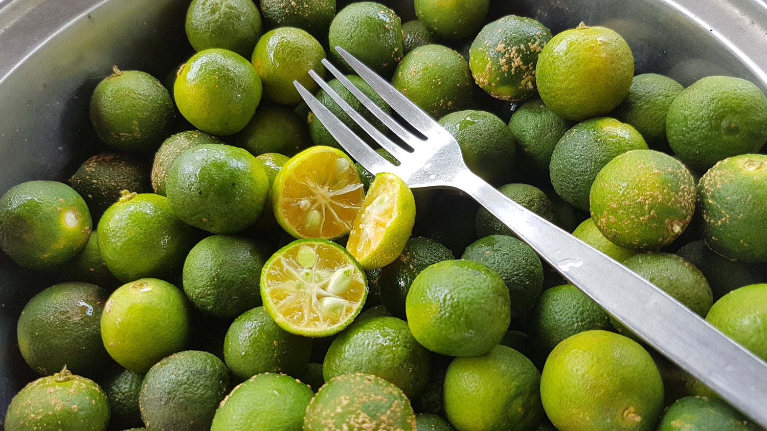 Calamansi Lime Tree Seeds (Citrus microcarpa)