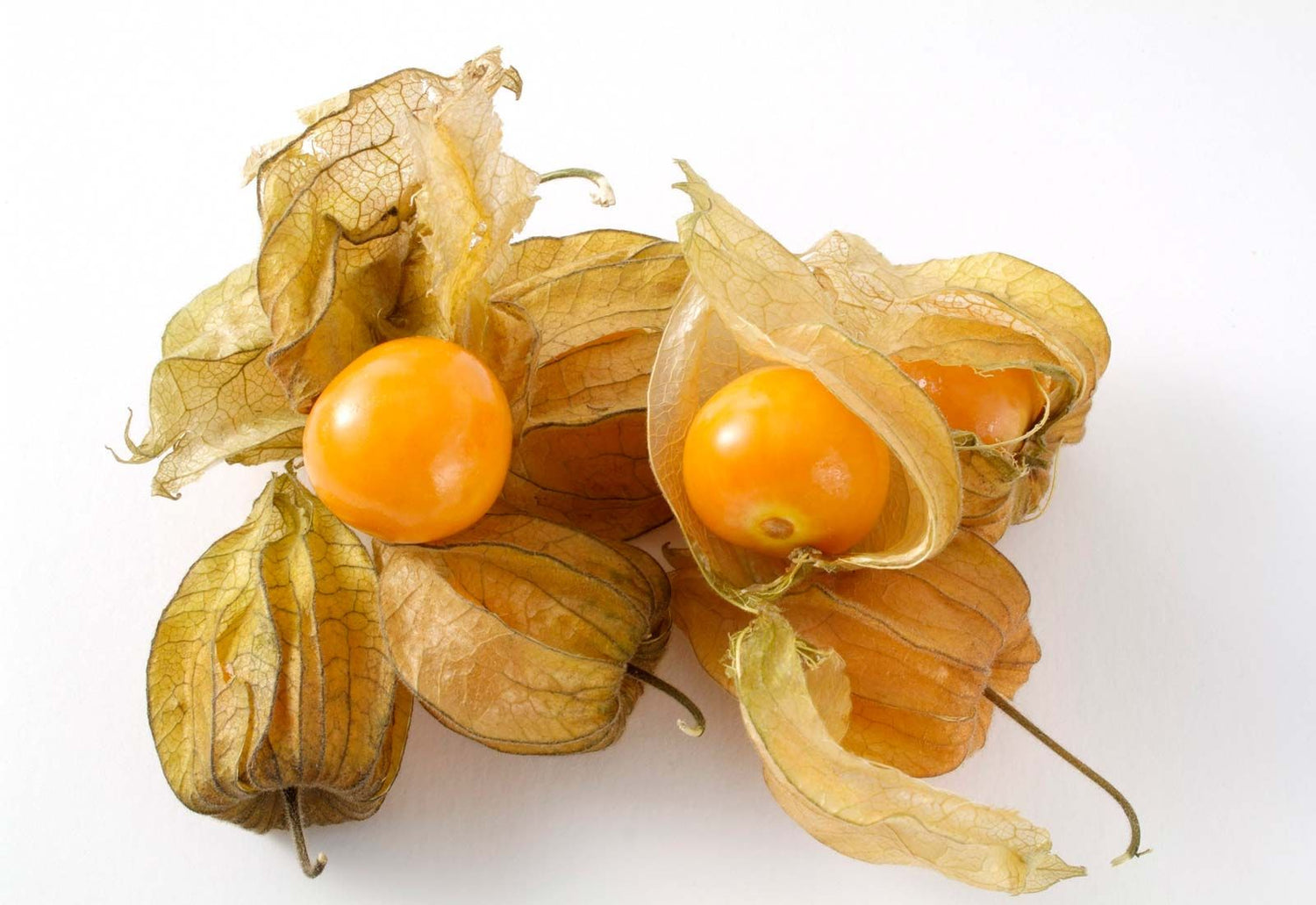 Peruvian Groundcherry (Physalis peruviana) – Sweet and Tangy Fruit with Health Benefits