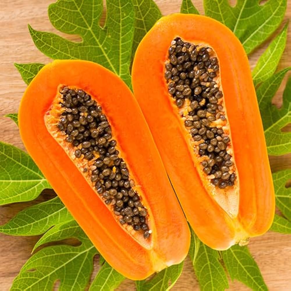 Seed packet image featuring Carica Papaya seeds, high-quality germination.