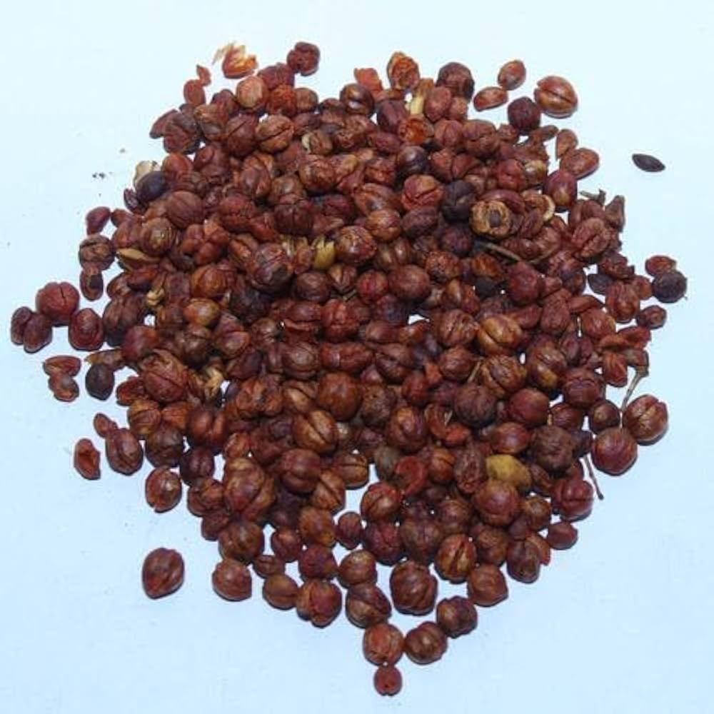 Climbing Staff Tree vine on a trellis, ideal for a home herbal garden